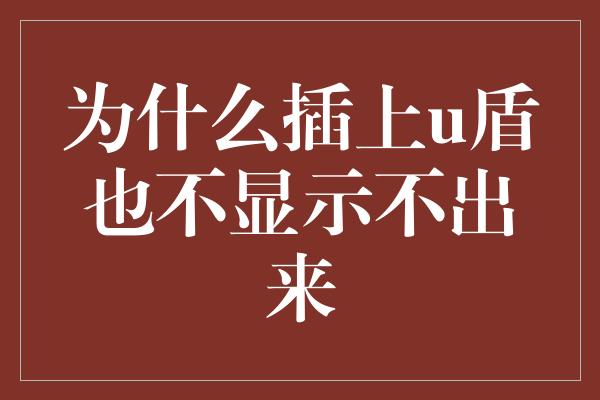 为什么插上u盾也不显示不出来