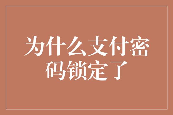 为什么支付密码锁定了