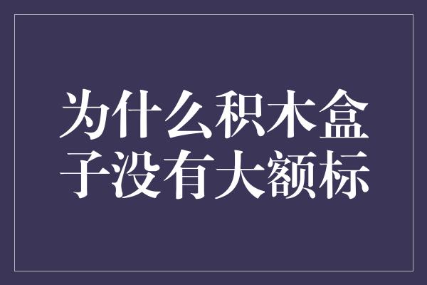 为什么积木盒子没有大额标