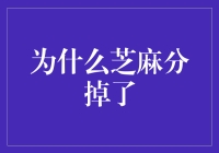 芝麻分掉啦？别慌，这里有解决办法！