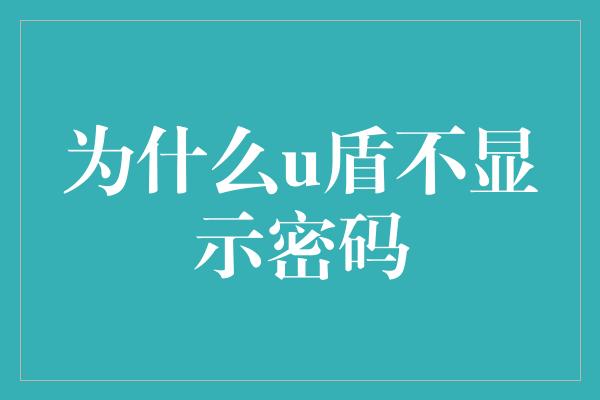 为什么u盾不显示密码