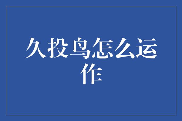 久投鸟怎么运作