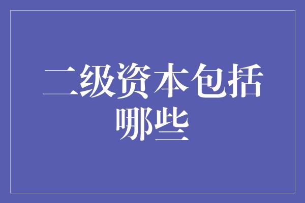 二级资本包括哪些