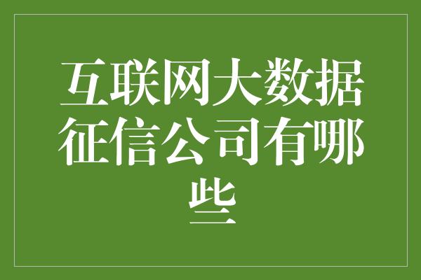 互联网大数据征信公司有哪些