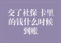 社保交了，卡里的钱什么时候到账？详解社保到账流程与常见问题