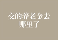 交的养老金去哪里了：解析中国养老金制度的运作与挑战