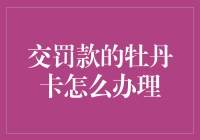 如何用牡丹卡缴纳罚款：详细步骤与注意事项