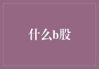 B股市场：历史轨迹与现代转型