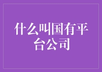 国有平台公司的定义与本质：构建现代化经济体系的重要推手