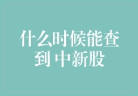 何时能查到中新股？——新股申购与查询全攻略