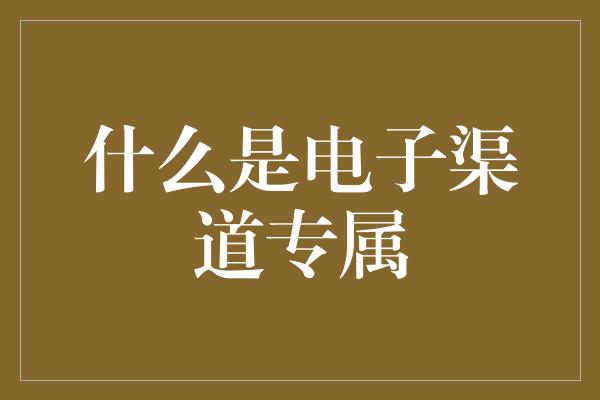 什么是电子渠道专属