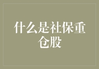 社保重仓股：从概念到投资策略的投资理财新视角