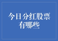 今日分红股票投资指南：把握财富增长的良机