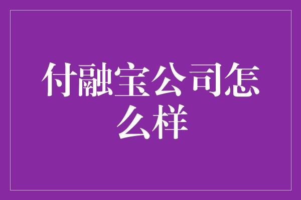 付融宝公司怎么样