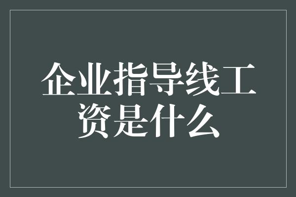 企业指导线工资是什么