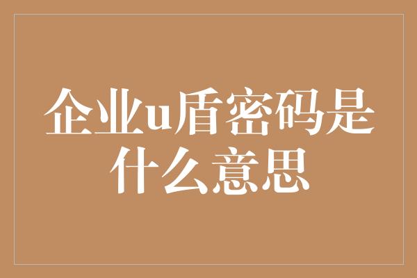 企业u盾密码是什么意思