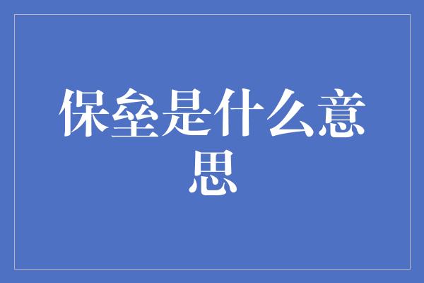 保垒是什么意思