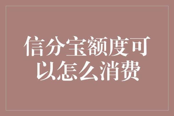 信分宝额度可以怎么消费