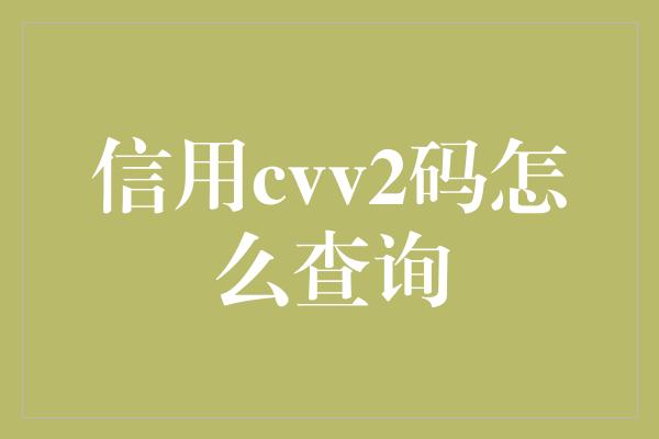 信用cvv2码怎么查询