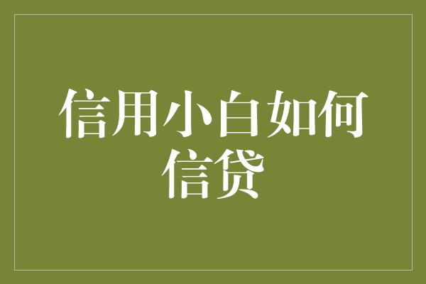 信用小白如何信贷