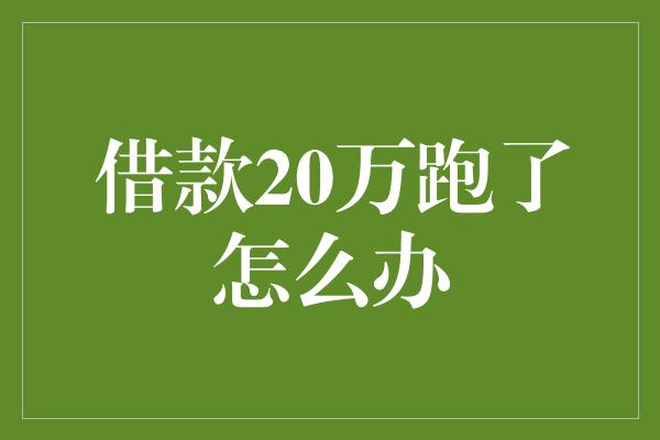 借款20万跑了怎么办