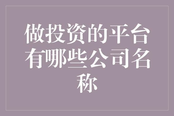 做投资的平台有哪些公司名称