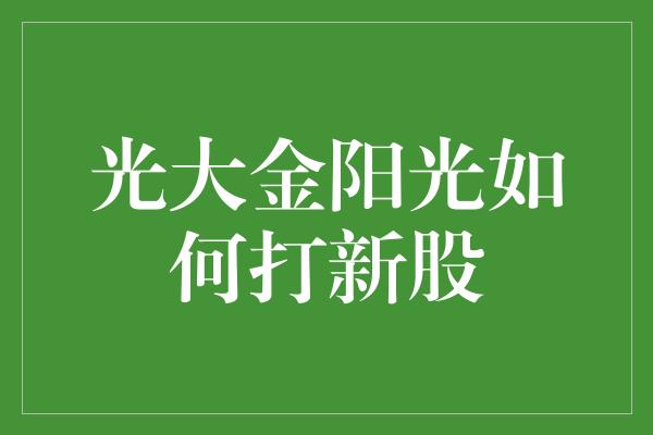 光大金阳光如何打新股