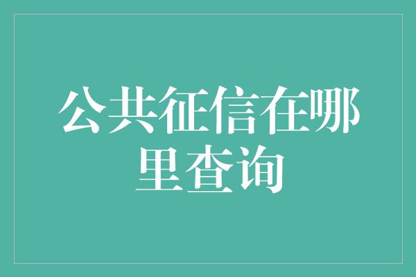 公共征信在哪里查询