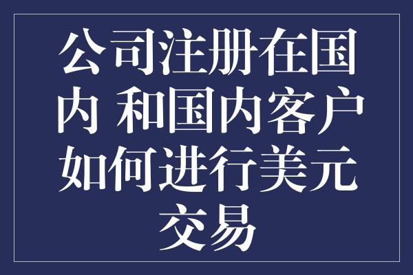 公司注册在国内 和国内客户如何进行美元交易