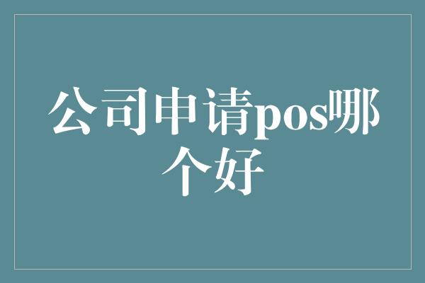 公司申请pos哪个好