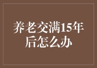 养老保险交满15年后怎么办：重新审视退休规划与投资策略