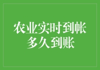 农业实时到账真的很快吗？我们来揭秘！