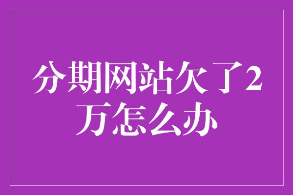 分期网站欠了2万怎么办