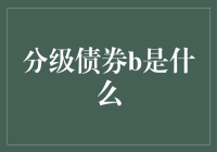 分级债券B类：巧借风险获取收益的挑战与机遇