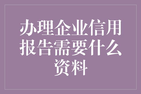 办理企业信用报告需要什么资料