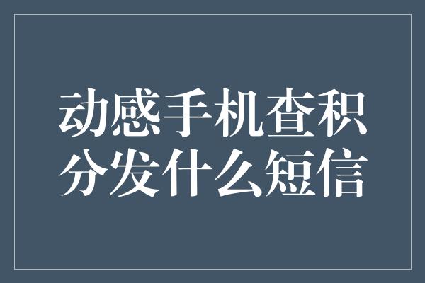 动感手机查积分发什么短信