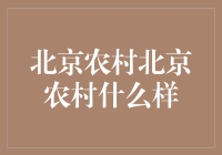 北京农村经济发展的现状与挑战