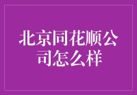 北京同花顺软件有限公司：金融科技领域的领航者