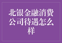 北银金融消费公司待遇解析：高薪背后的职业发展路径