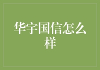 华宇国信：推动科技与创新的舵手