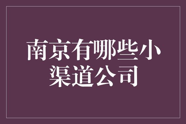 南京有哪些小渠道公司