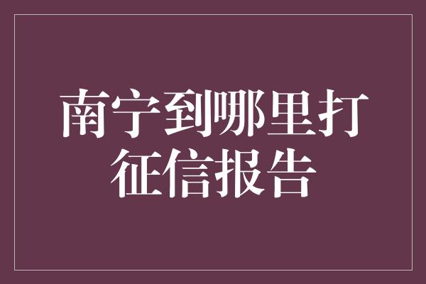 南宁到哪里打征信报告