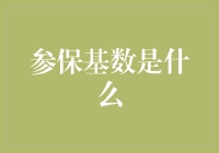 参保基数是什么？你需要知道的一切