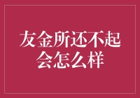 还不起？别担心！友金所教你如何变身金融小能手