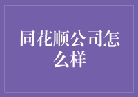 同花顺公司：金融科技创新的领航者