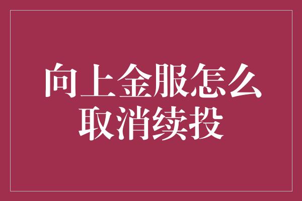 向上金服怎么取消续投