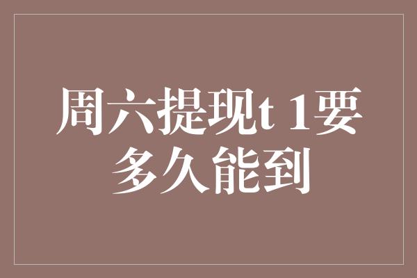 周六提现t 1要多久能到