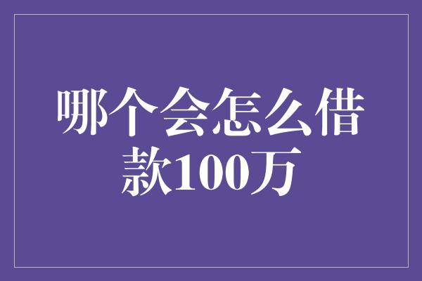 哪个会怎么借款100万