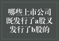 哪些上市公司同时拥有A股与B股的上市资格？解析那些跨市场的企业