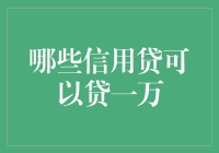 揭秘！哪种信用贷能轻松贷下一万？